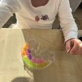 resized_IMG_0237