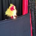 resized_IMG_20220603_101329