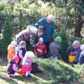 wiosenne-porzadki_07