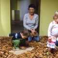 Zabawa liśćmi